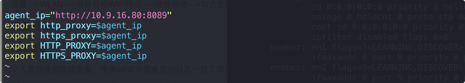 image-20211217231321465